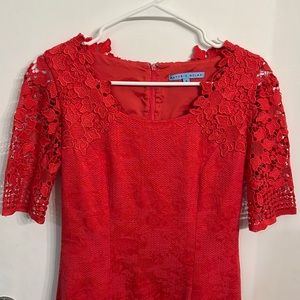 Antonio Melani Pink Dress